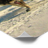 Iditarod Trail Schlittenhunde Poster (Ecke)