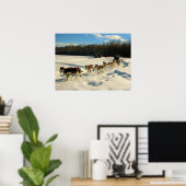 Iditarod Trail Schlittenhunde Poster (Heimbüro)