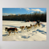 Iditarod Trail Schlittenhunde Poster (Vorne)