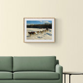 Iditarod Trail Schlittenhunde Poster