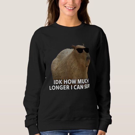 Idk How Much Longer I Can Slay Capybara Sarcastic  Sweatshirt (Vorderseite)