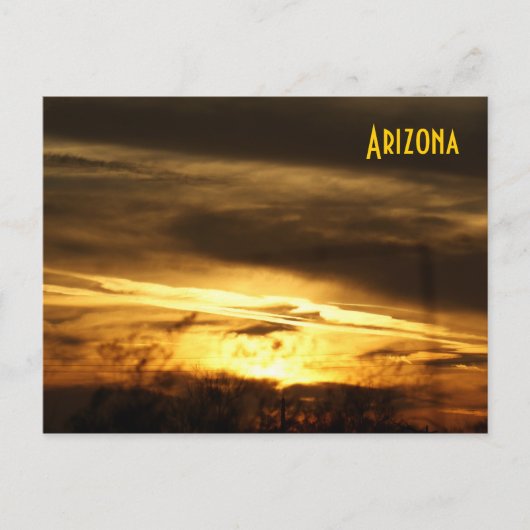 IDKP Arizona Nachlasskarte Postkarte (Vorderseite)