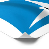 Ido Flag Poster Print (Ecke)