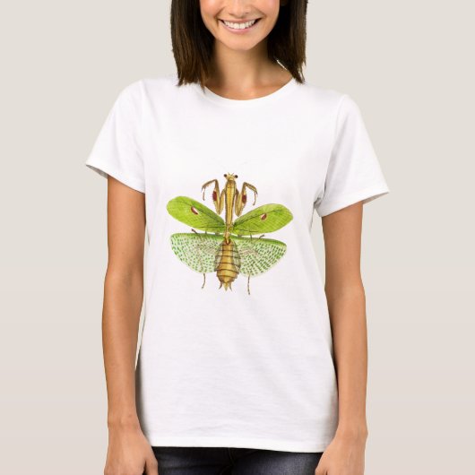 Idol mantis bug Vintage Abbildung T-Shirt (Vorderseite)