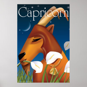 Idolz Capricorn  Poster