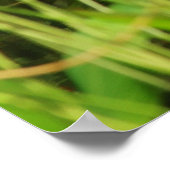 Idyllischer Nachmittag Poster (Ecke)