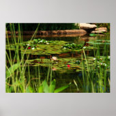 Idyllischer Nachmittag Poster (Vorne)