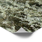 Idyllischer Tag in Canberra Poster (Ecke)