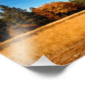 Idyllwild - Kiefernwald Fotodruck (Ecke)
