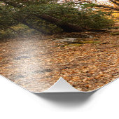 Idyllwild - Kiefernwald Fotodruck (Ecke)