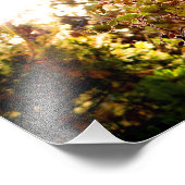 Idyllwild - Kiefernwald Fotodruck (Ecke)