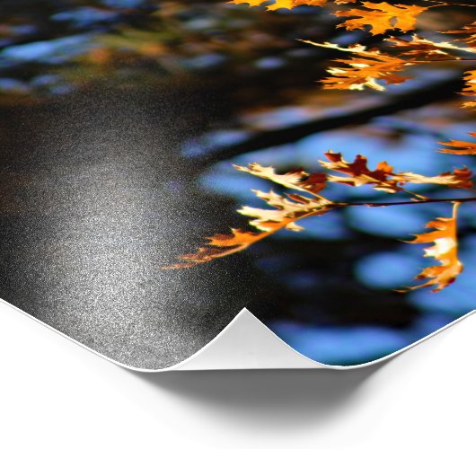 Idyllwild - Kiefernwald Fotodruck (Ecke)