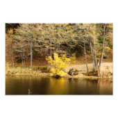 Idyllwild - Kiefernwald Fotodruck (Vorne)