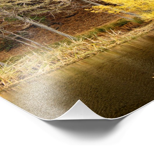 Idyllwild - Kiefernwald Fotodruck (Ecke)