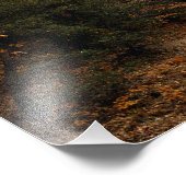 Idyllwild - Kiefernwald Fotodruck (Ecke)