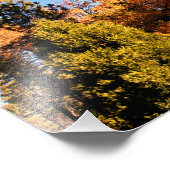 Idyllwild - Kiefernwald Fotodruck (Ecke)