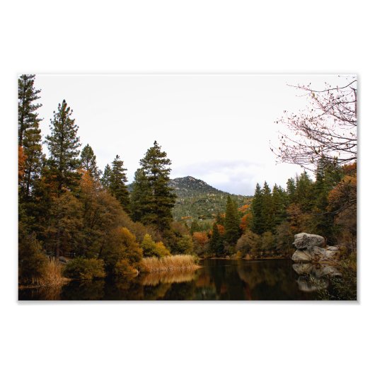 Idyllwild - Kiefernwald Fotodruck (Vorne)