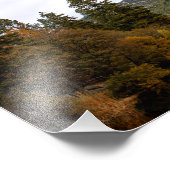 Idyllwild - Kiefernwald Fotodruck (Ecke)