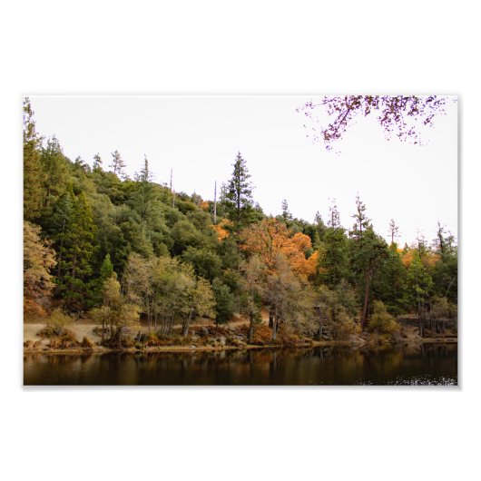 Idyllwild Pine - Cove Fotodruck (Vorne)
