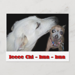 Ieee Chi hua hua Postkarte