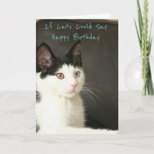 If Cats Could Say Happy Birthday Karte (Vorderseite)