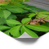 IF, Gedicht von Rudyard Kipling Poster (Ecke)