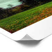 If God Played Dice with the Universe Poster (Ecke)