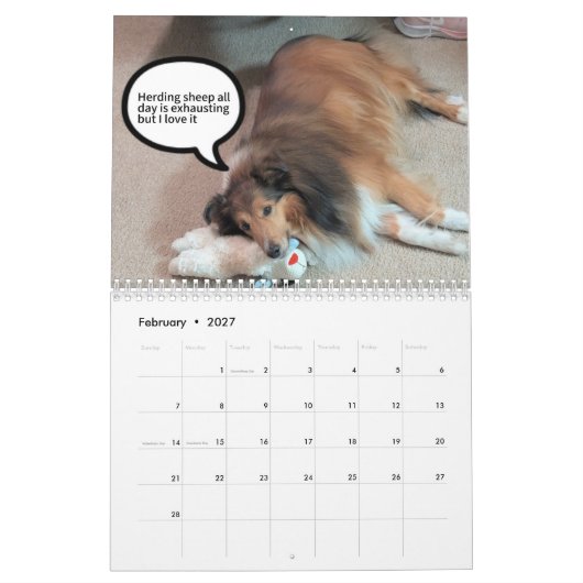 If Shelties could talk Kalender (Feb 2027)