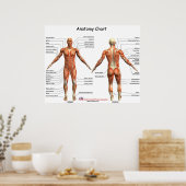 IFA-Anatomie-Diagramm Poster (Küche)