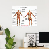 IFA-Anatomie-Diagramm Poster (Heimbüro)