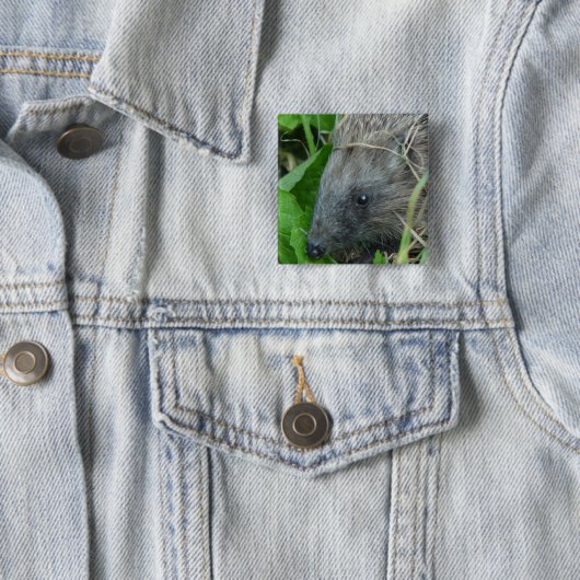 Igel #1 button (Beispiel)