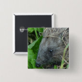 Igel #1 button (Vorne & Hinten)