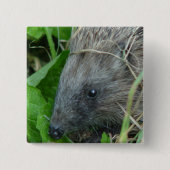Igel #1 button (Vorderseite)