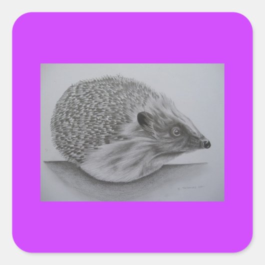 Igel (2) quadratischer aufkleber (Vorderseite)