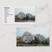 Igel als Haustiere Visitenkarte (Vorne/Hinten)