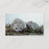 Igel als Haustiere Visitenkarte (Rückseite)