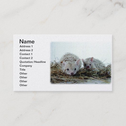 Igel als Haustiere Visitenkarte (Vorderseite)