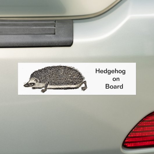 Igel an Bord - AUTOAUFKLEBER (Auf Auto)