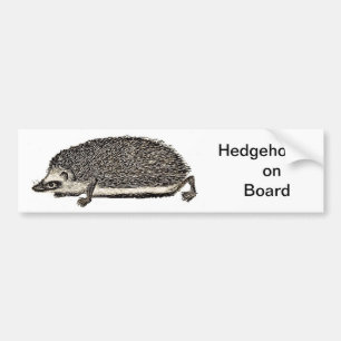 Igel an Bord - AUTOAUFKLEBER