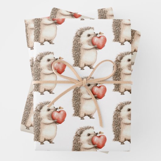 Igel Apple Heart Birthday Geschenkpapier Set (Beispiel)
