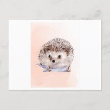 Igel Aquarellmalerei