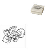 Igel auf Erdbeerpflanze Stempel (Stempel)