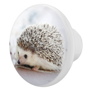 Igel Baby Keramikknauf