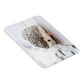 Igel Baby Magnet (Rechte Seite)
