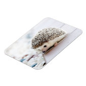 Igel Baby Magnet (Linke Seite)
