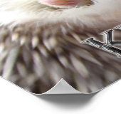 IGEL BEHALTE SCHLAFPLATZ POSTER (Ecke)