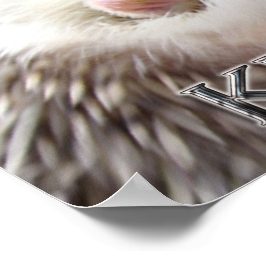 IGEL BEHALTE SCHLAFPLATZ POSTER (Ecke)