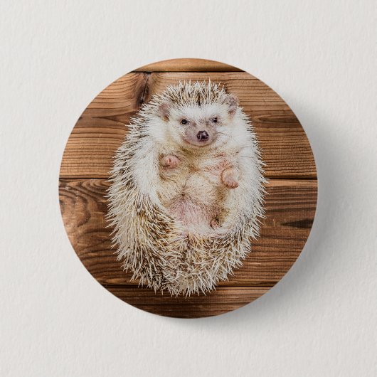 Igel Button (Vorderseite)