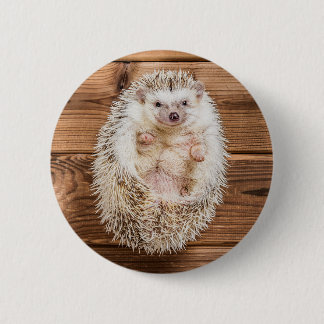 Igel Button