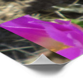 Igel Cactus Blume Poster (Ecke)